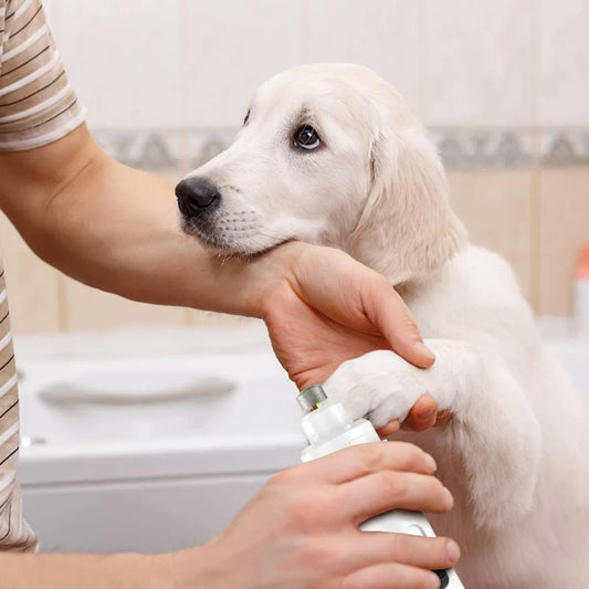 COUPE-GRIFFE-ÉLECTRIQUE-POUR-CHIEN