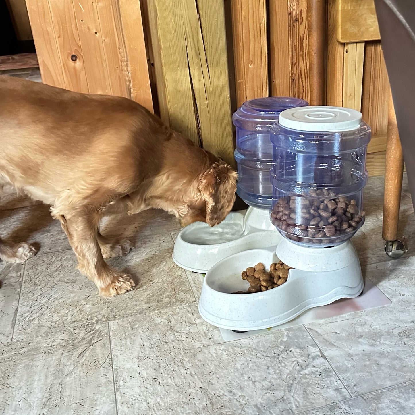 Distributeur-d'eau-et-nourriture-pour-chien-eau