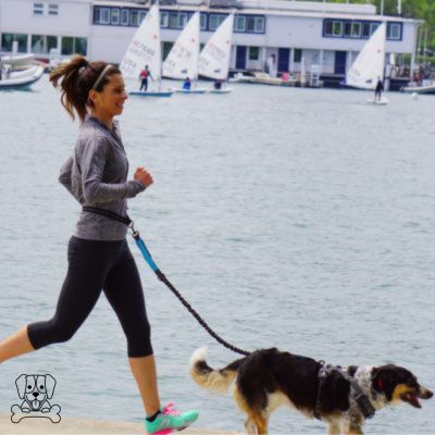LAISSE-MAIN-LIBRE-POUR-CHIEN-BLEU