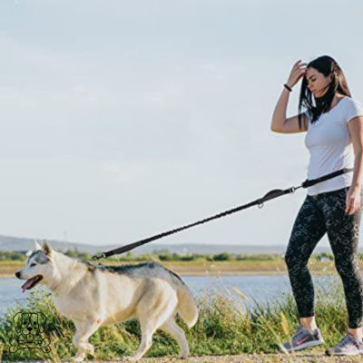LAISSE-MAIN-LIBRE-POUR-CHIEN-NOIR