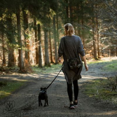 LAISSE-MAIN-LIBRE-POUR-CHIEN-MARCHE