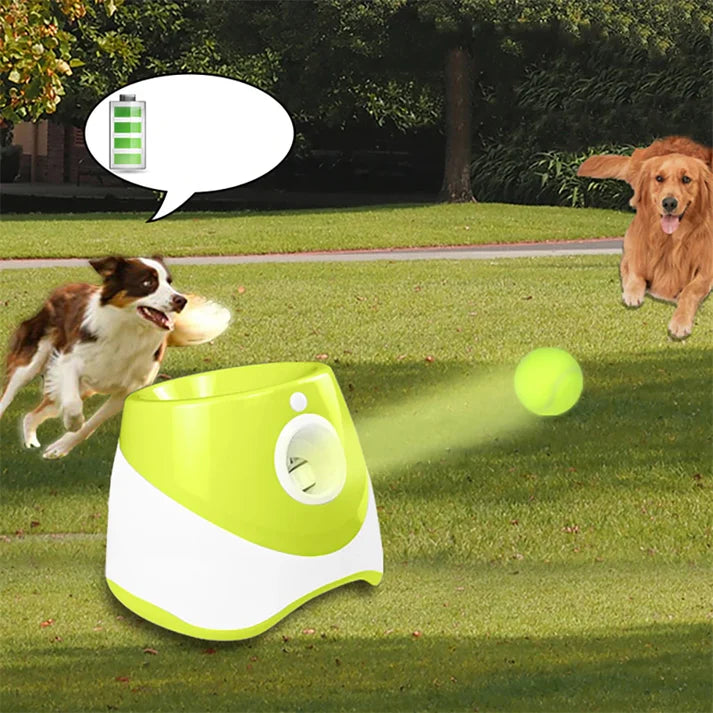 LANCEUR DE BALLE POUR CHIEN