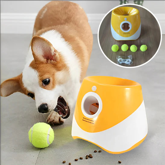 LANCEUR DE BALLE POUR CHIEN