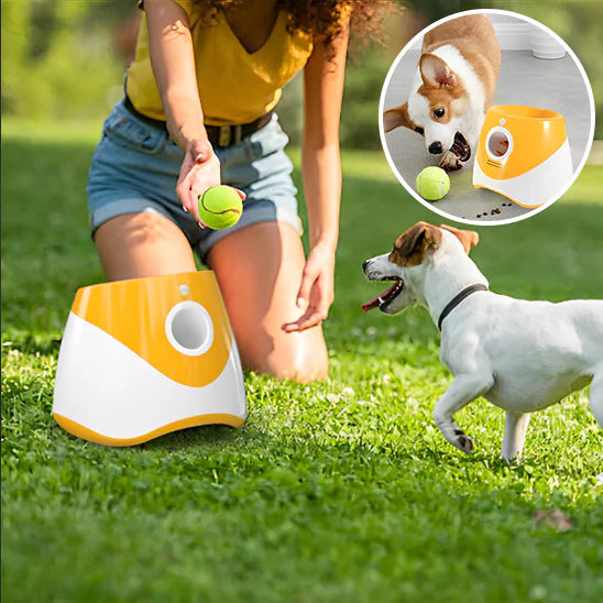 LANCEUR DE BALLE POUR CHIEN