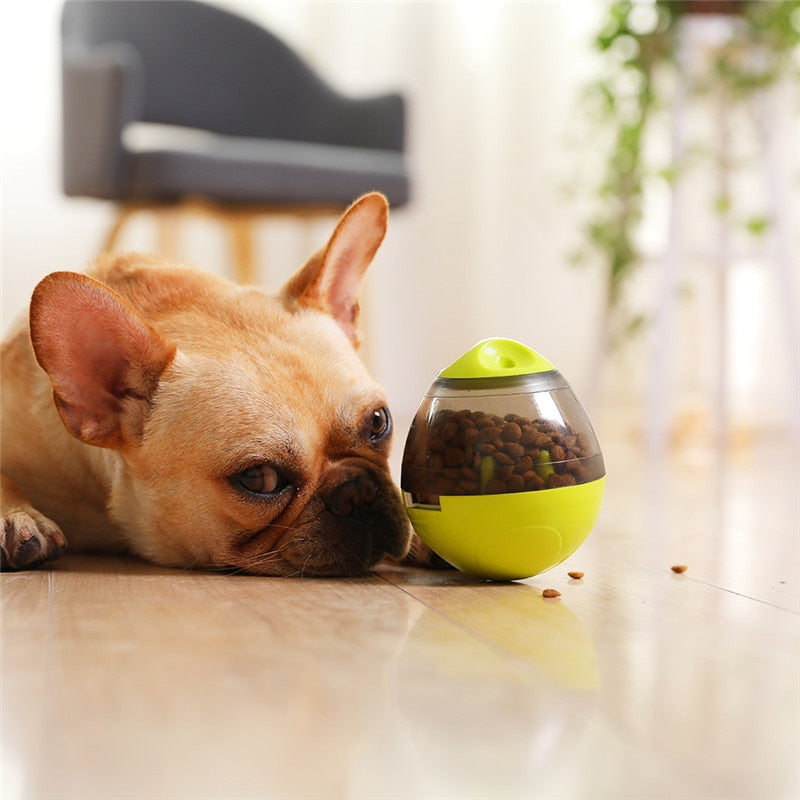 DISTRIBUTEUR-DE-CROQUETTE-CHIEN-JOUET