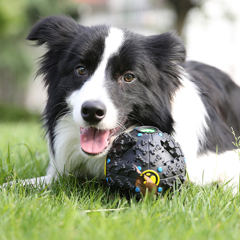 BALLE-DE-NOURRITURE-SONORE-CHIEN