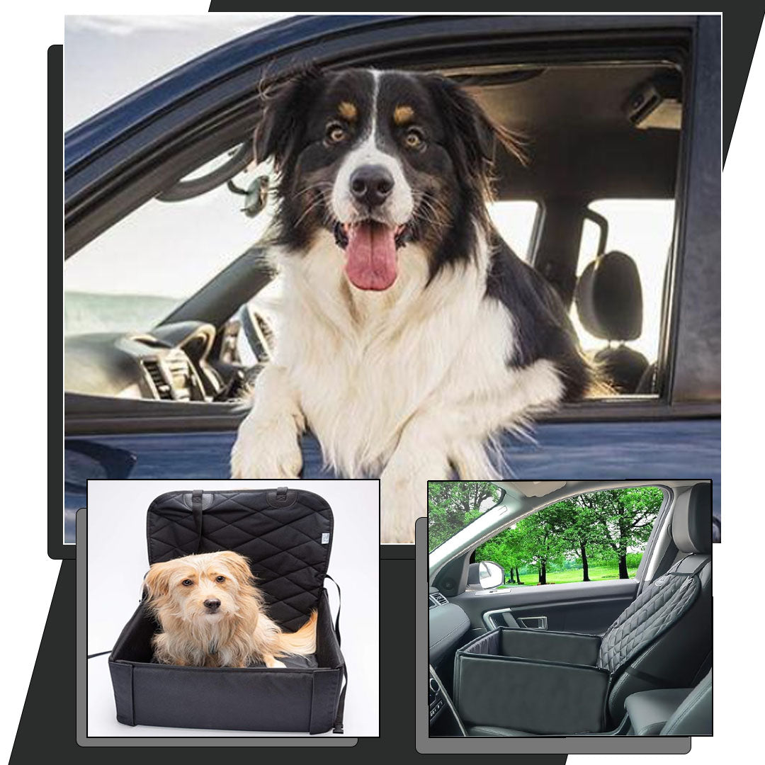 SIÈGE-DE-VOITURE-POUR-CHIEN-CONFORT 