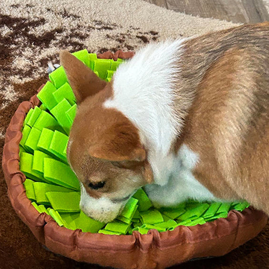 TAPIS DE RENIFLAGE POUR CHIEN