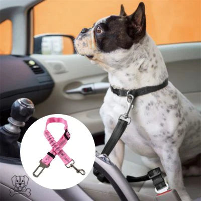 Ceinture de sécurité pour chien, 2 Pcs Pet Dog Cat Ceinture de sécurité de  voiture Appuie-tête avec élastique
